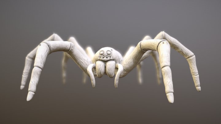 El gabinete del entomólogo: Araña 3D Model