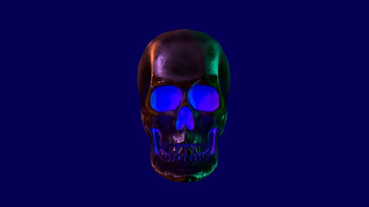 Female Skull 3D Model