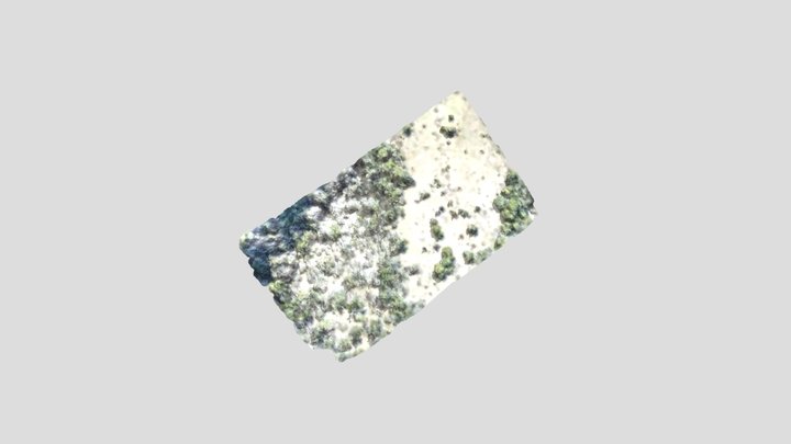parcela 137 3D Model