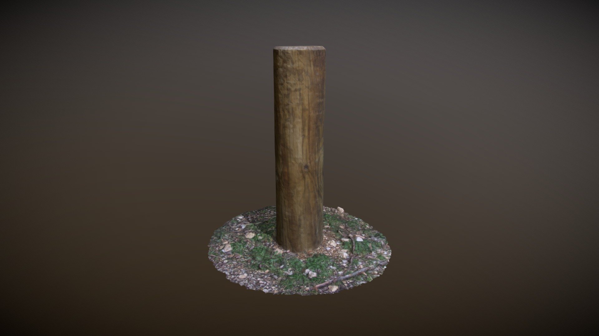 Wooden Post