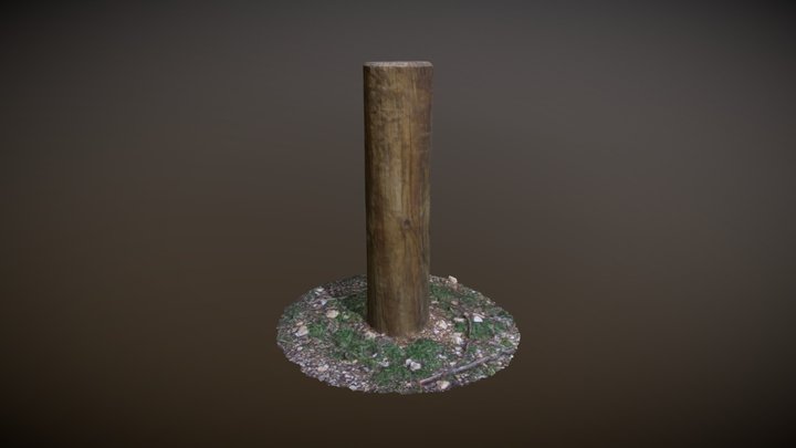 Wooden Post 3D Model