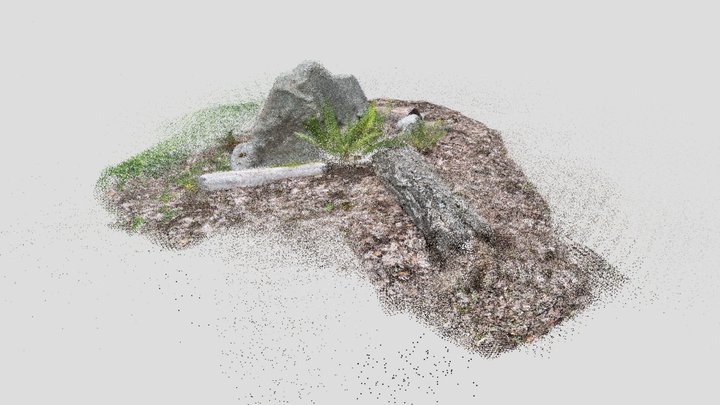 Campus logs & rocks1 - Lidar scan1 3D Model