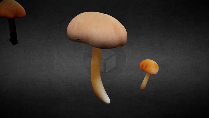 Common Stump Brittlestern by Zoe Kafeman 3D Model