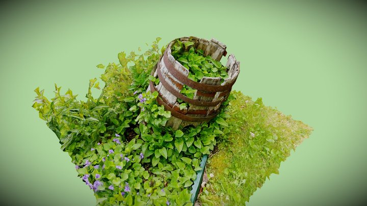 Garden Barrel 3D Model