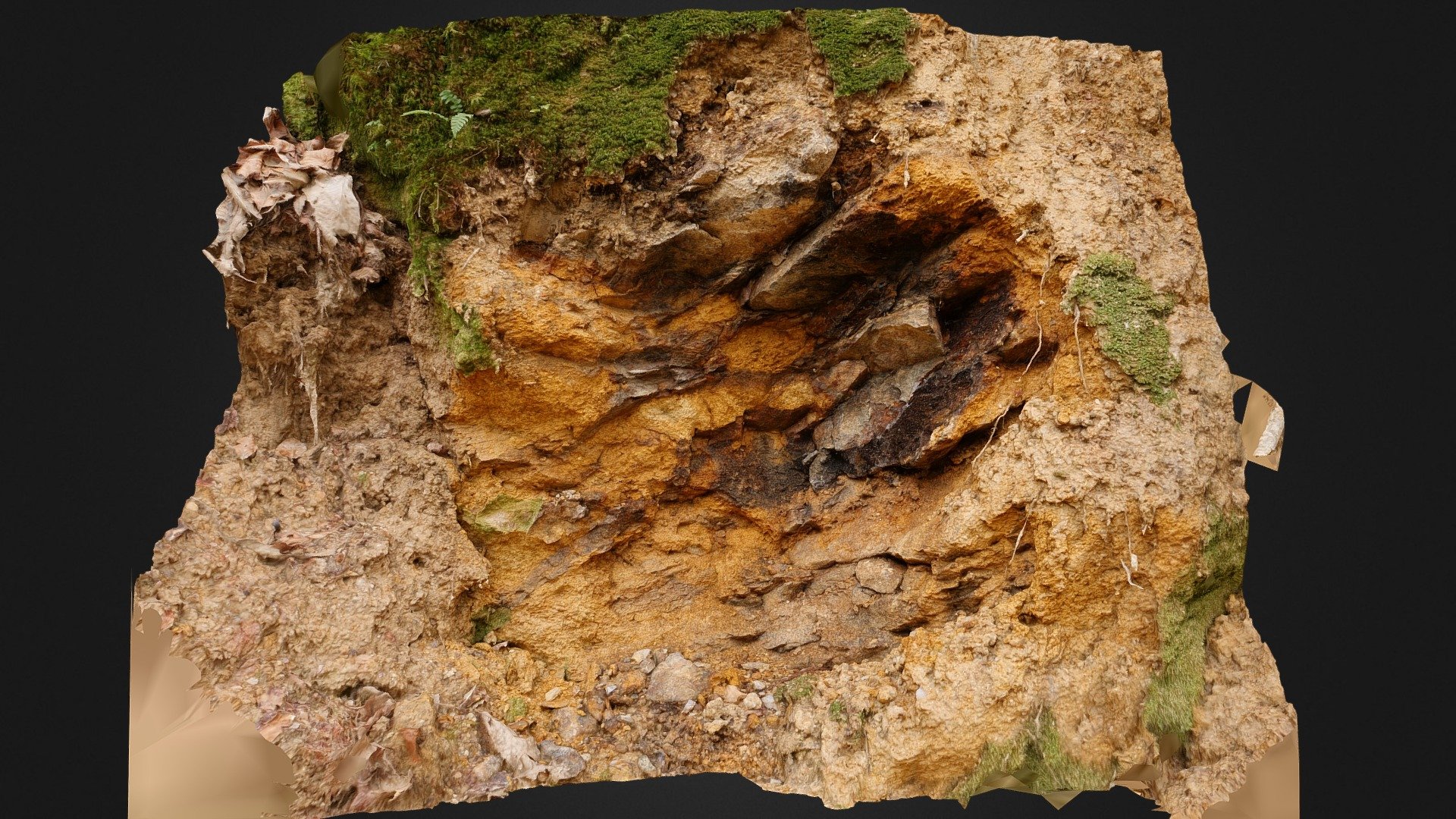 Granite outcrop 4
