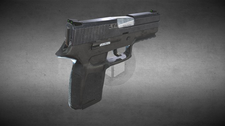 Sig Sauer p250 3D Model