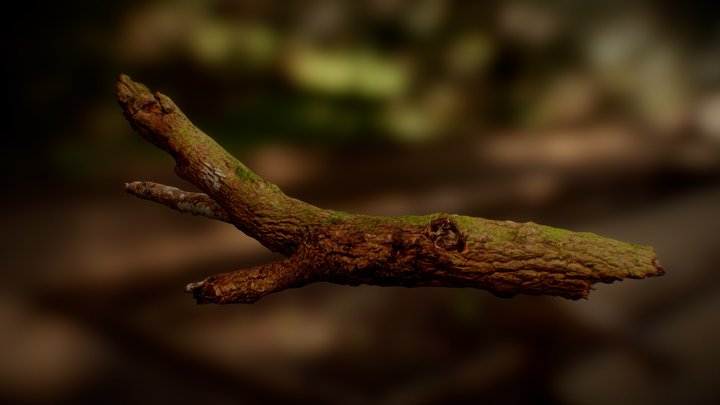 Wood Branch 3D Model