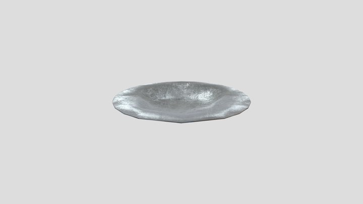 Plate CSY1086 3D Model