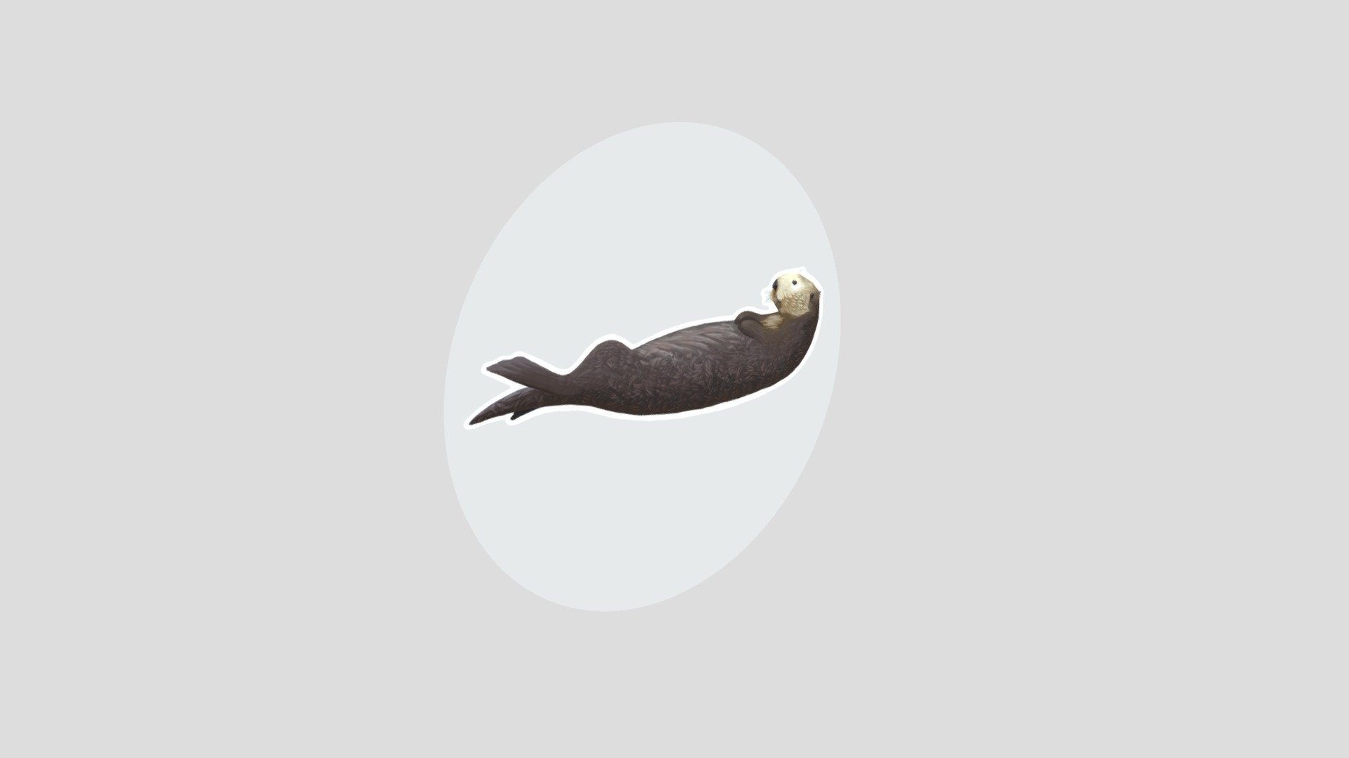 seaotter