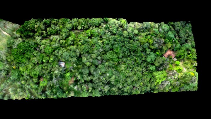 Proyecto El Bosque 3D Model