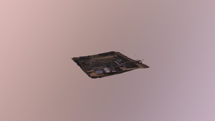 Duck Jeff Convert 3D Model