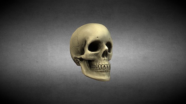 low poly vampire skull 3D Model