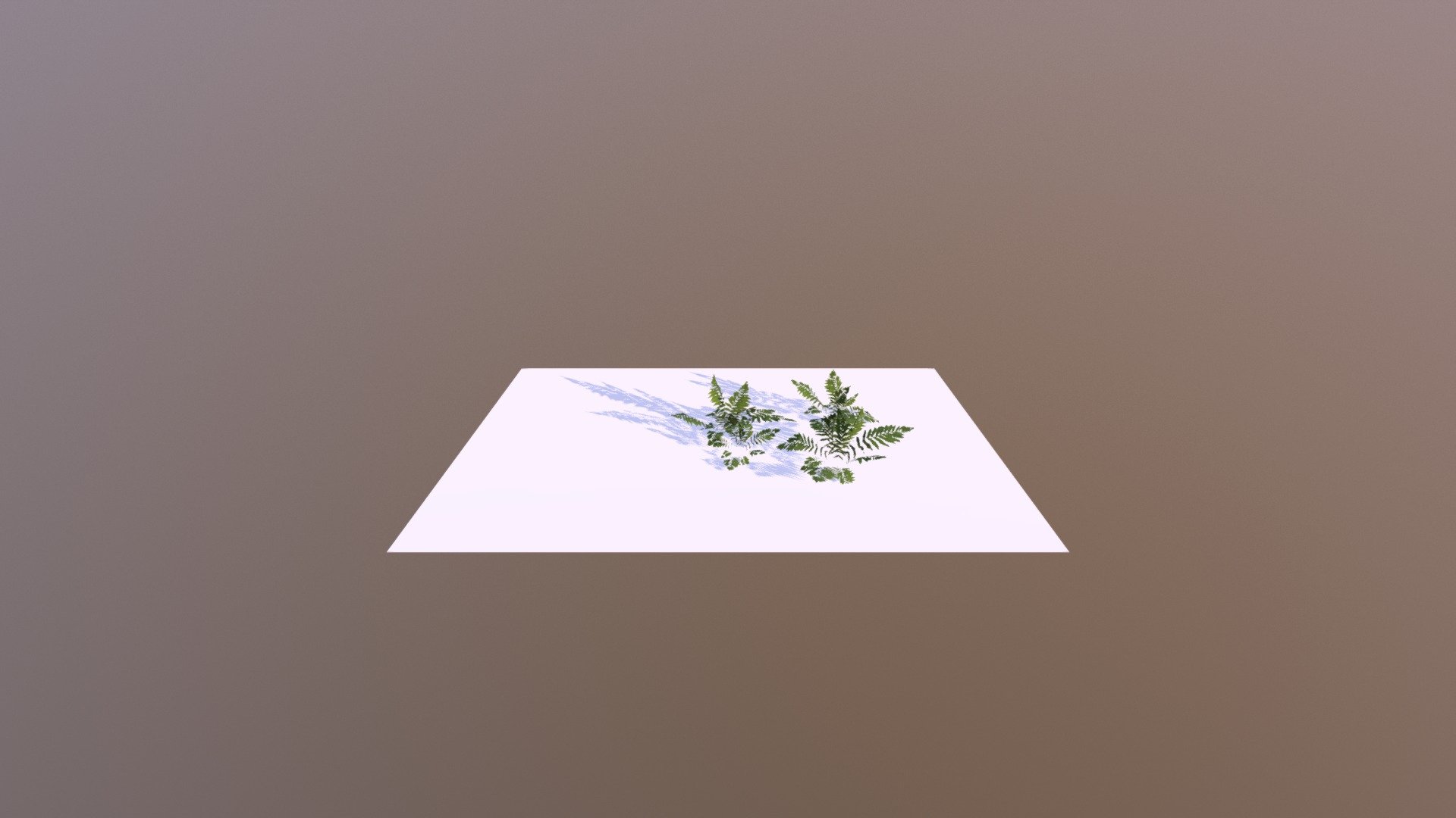 Demo Scene