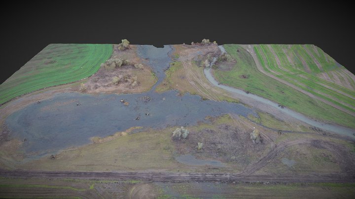 Carpenter Creek 3D Model
