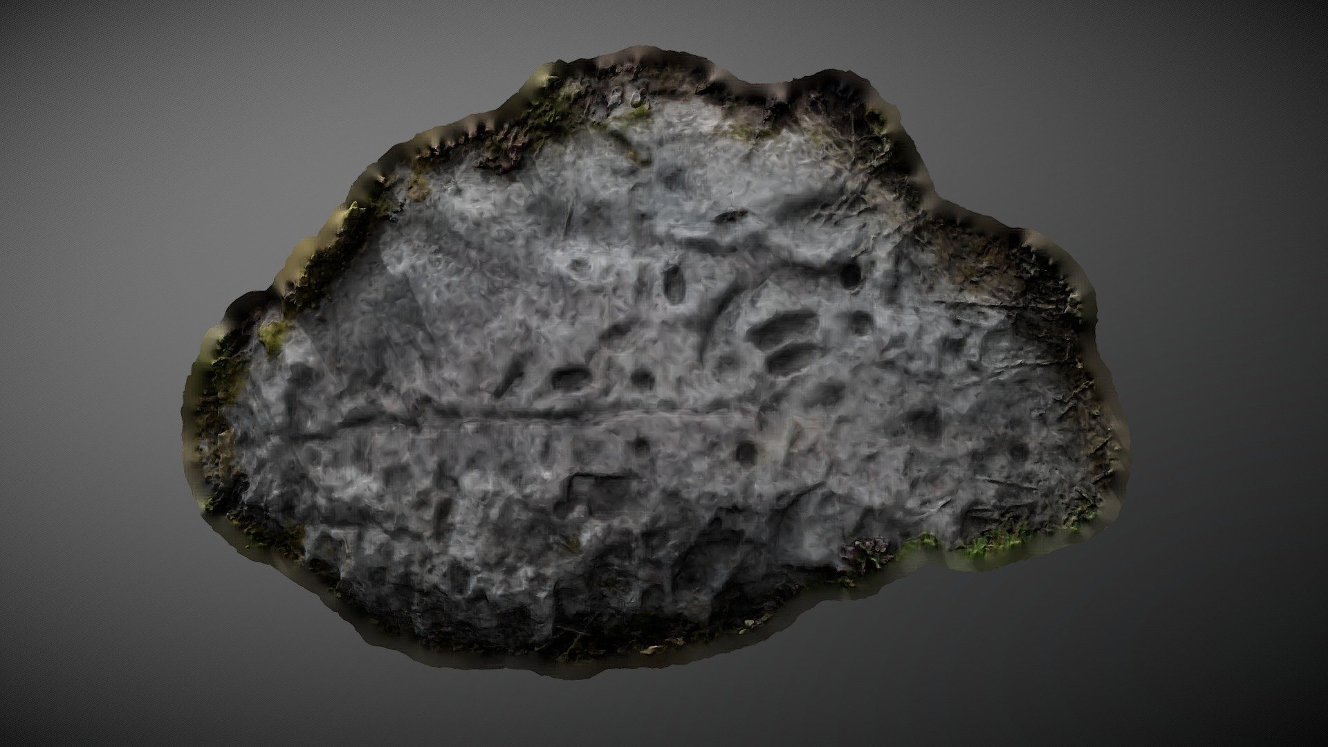 Broughmore Wood 5 - Cup Marked Rock