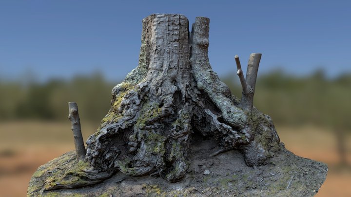Chestnut tree 03 – Gratis 3D-model STL