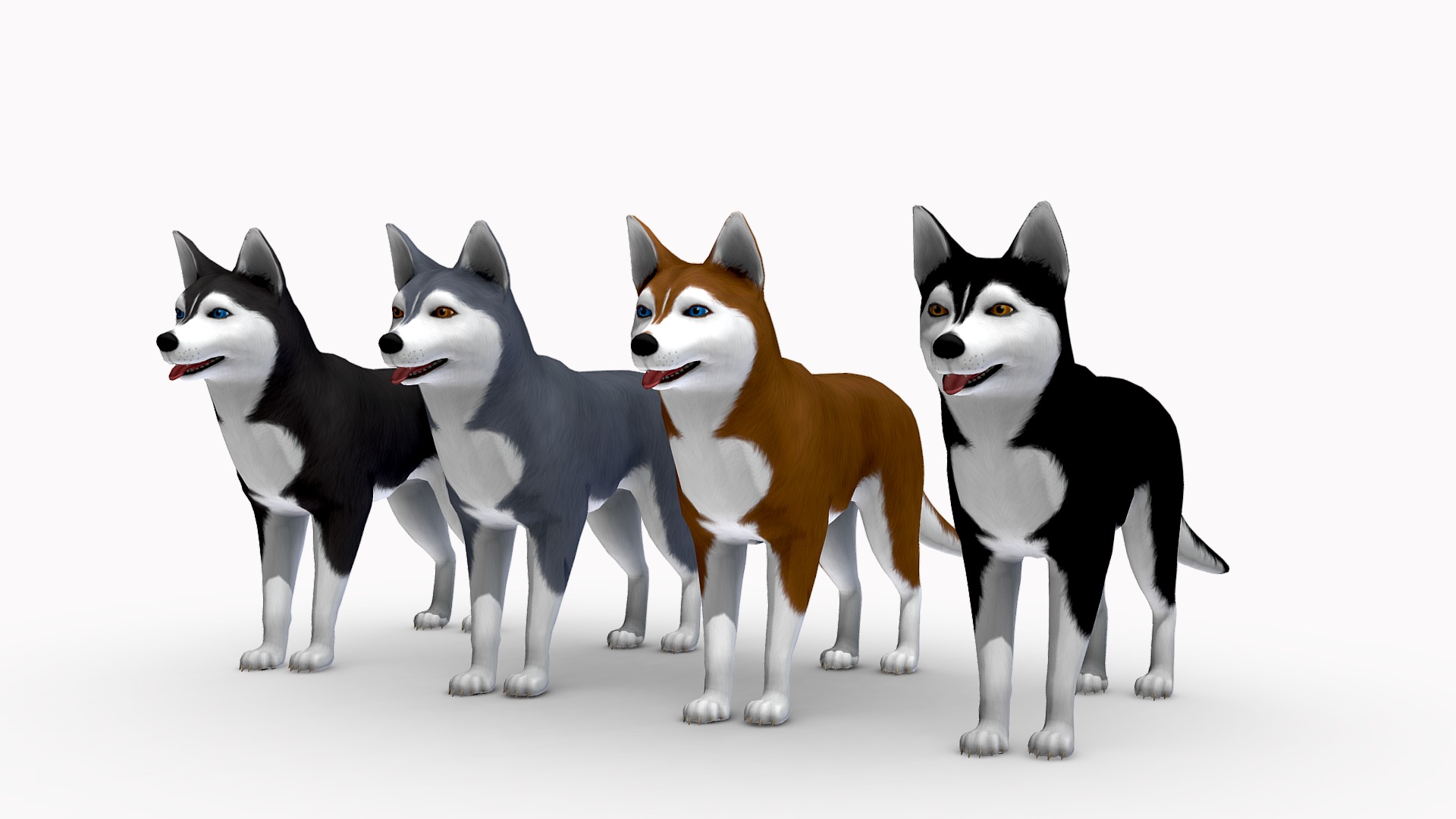 3D model Husky dogs - This is a 3D model of the Husky dogs. The 3D model is about a group of dogs.