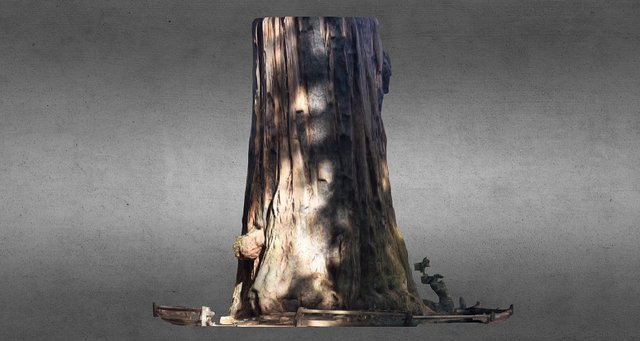 Redwood trunk – Modèle 3D gratuit STL