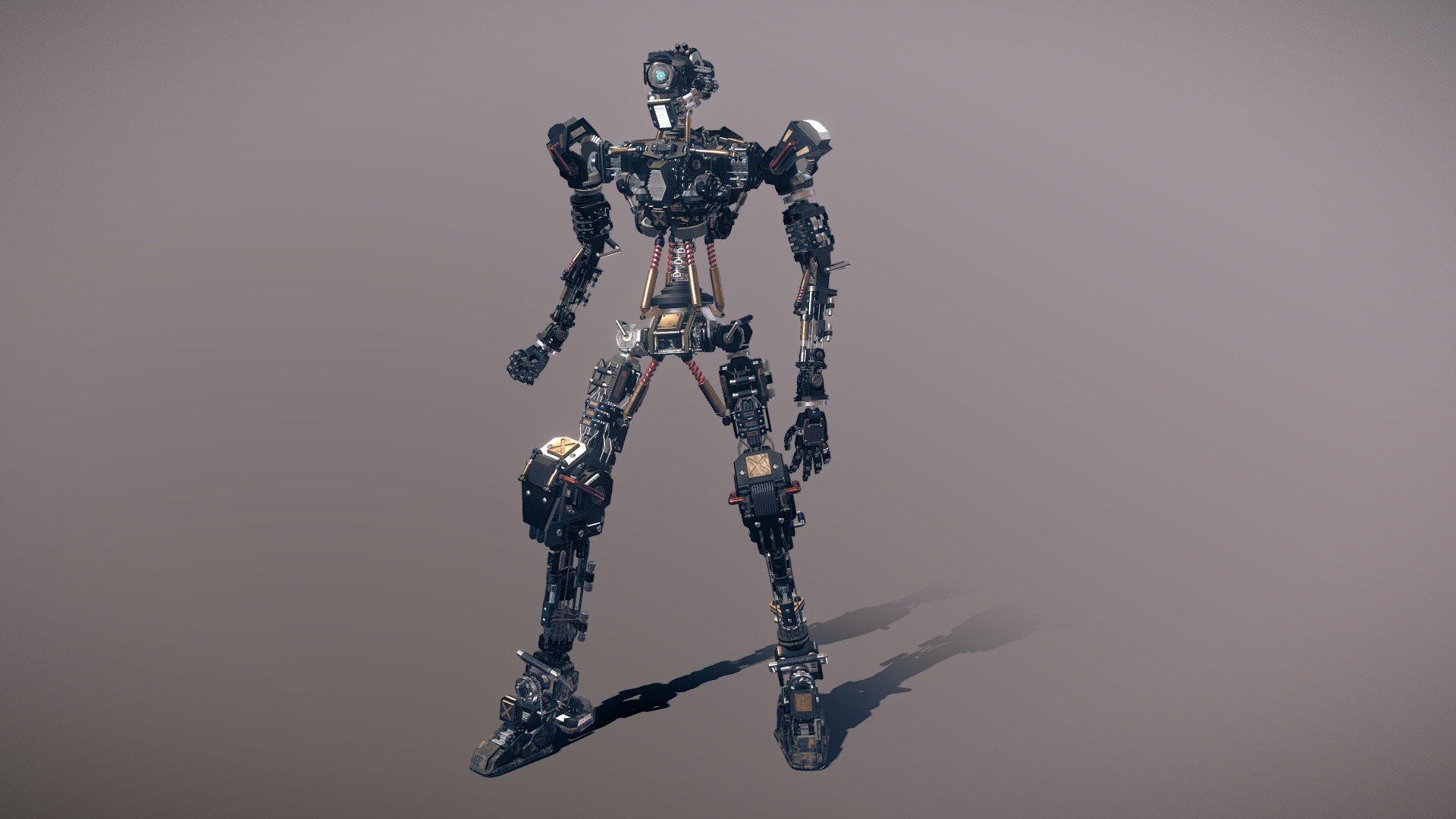 Humanoid Robot Frame