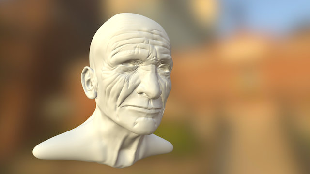 Old Gentleman Bust Sculpt Homework 3D Model