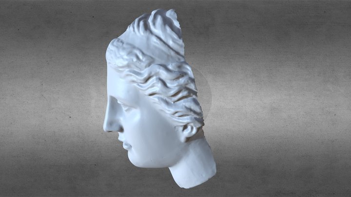 Венера 3D Model
