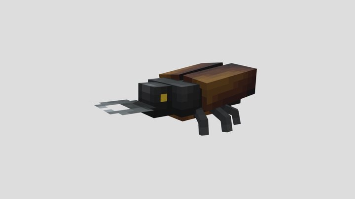 Beetle 3D Model