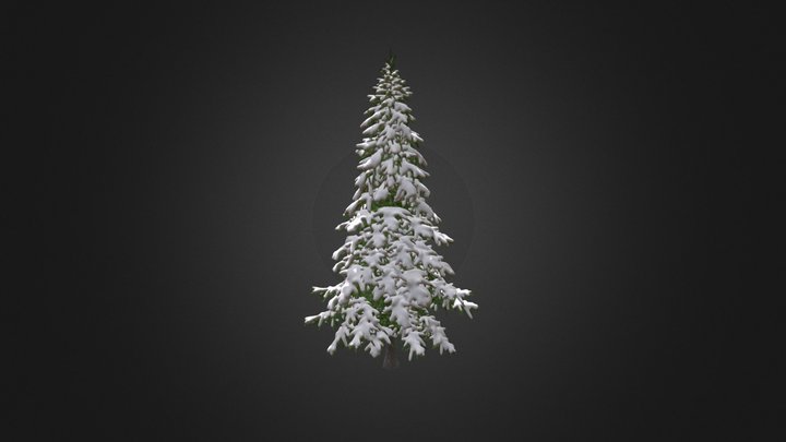 Fir Tree with Snow 3D Model 5.9m 3D Model