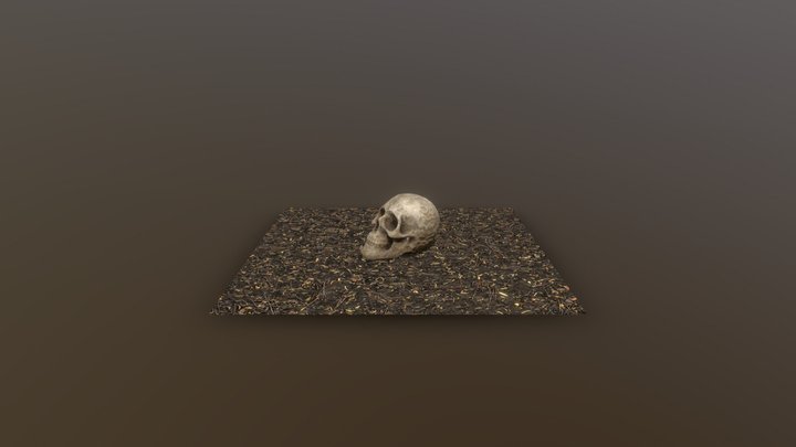 Ornamental Skull | Photogrammetry 3D Model