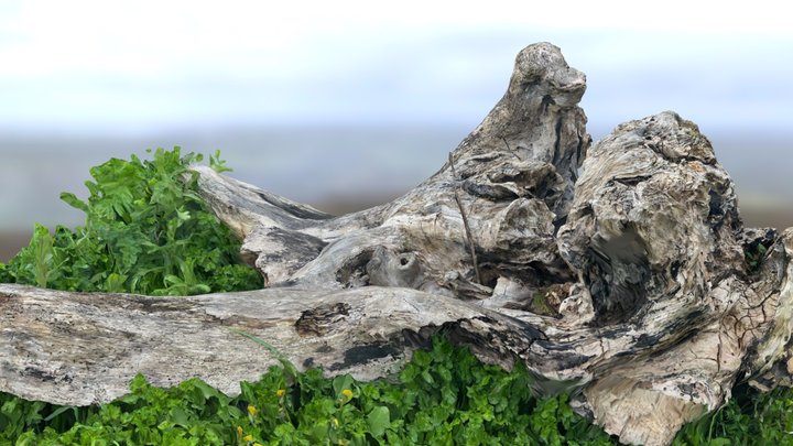 Weathered Log – Modèle 3D gratuit STL