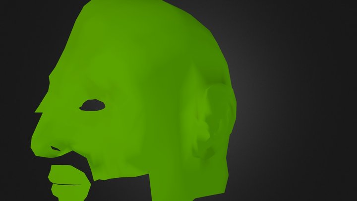 Head Incomplete 3D Model