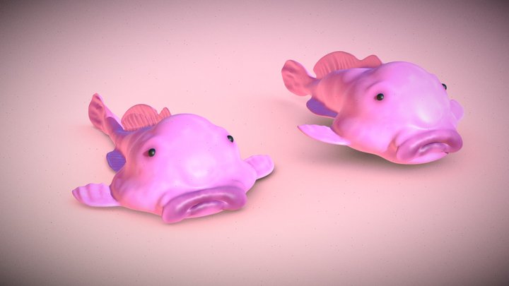 3D model Blobfish Realistic Animated VR / AR / low-poly