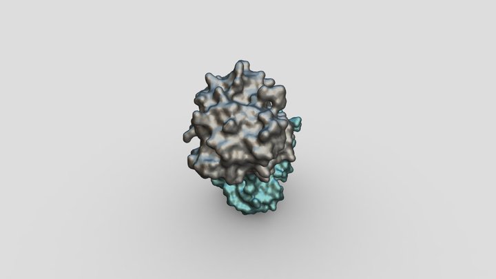 1hti_2 3D Model