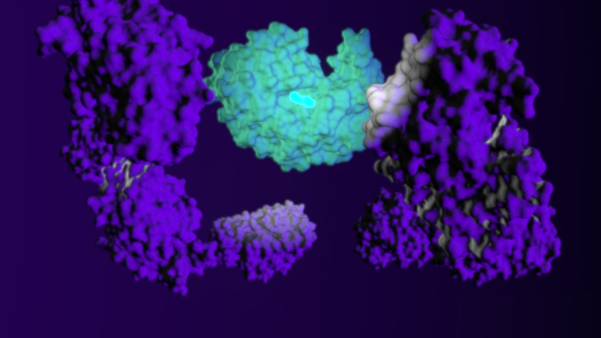 Pepsina — Sketchfab embed 3D viewer