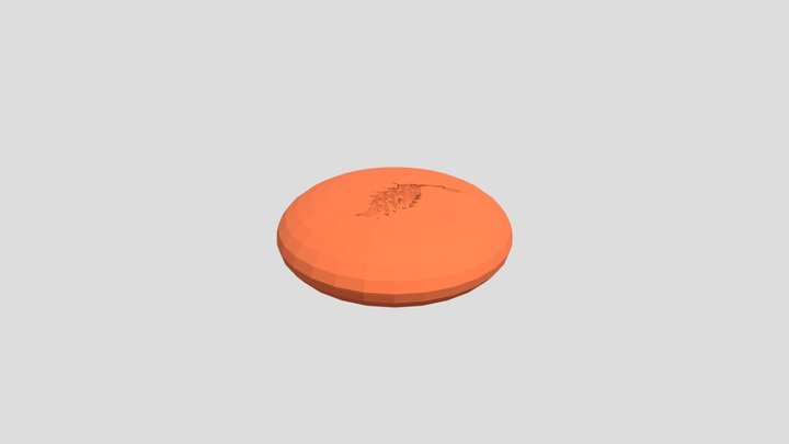 Fosil Crustaceo 3D Model