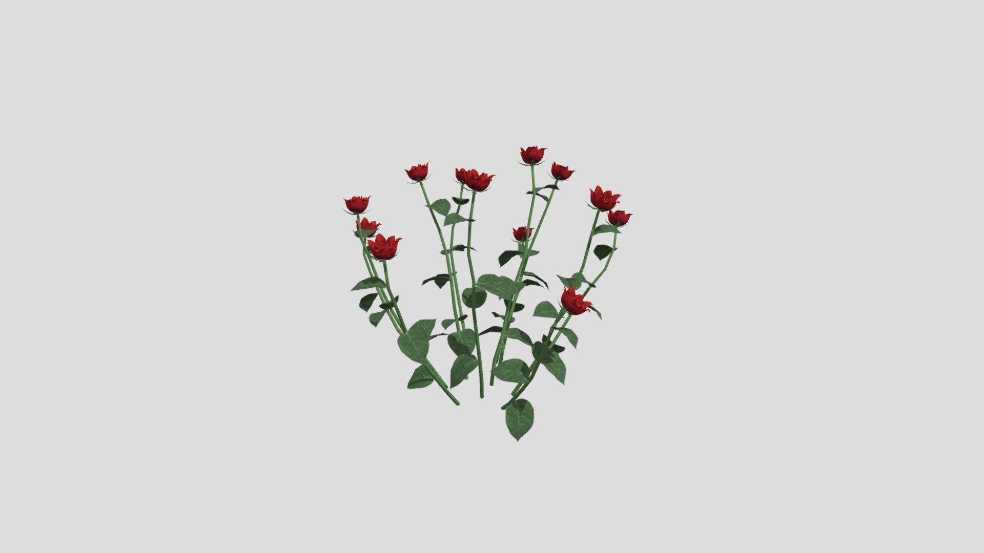 laos Roses - 3D model by LAOMUSIC ARTS (@laomusicArts) [6735900 ...