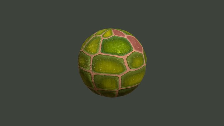 Scales texture 3D Model