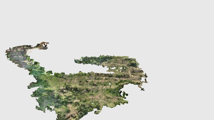 Ella Butterfly nest 3D Model