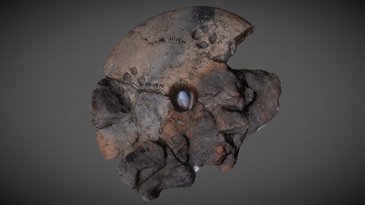 Punnus - Loom weight 3D Model