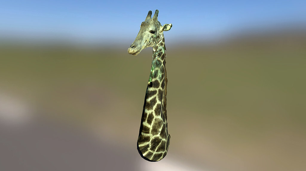 Giraffe (textured)