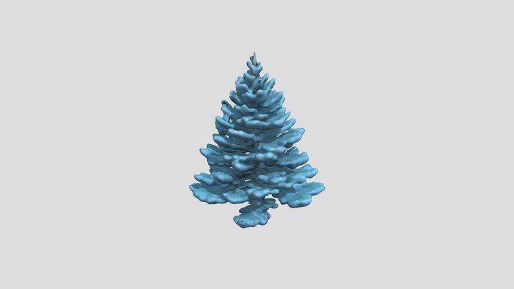 голубая ель 3D Model