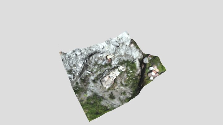 Petrified tree trunk 22 model from drone 3D Model