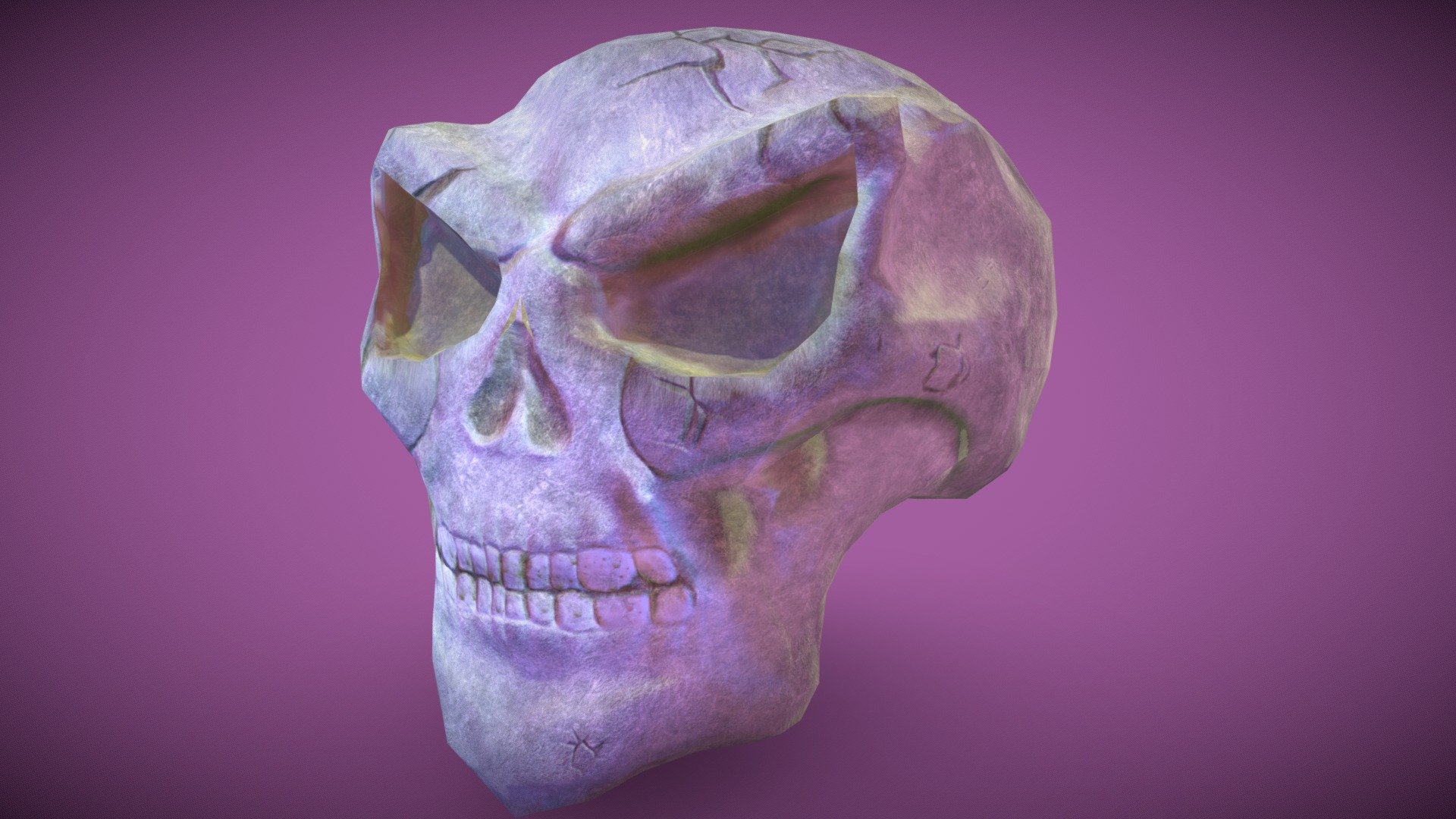 Skull Sculpt