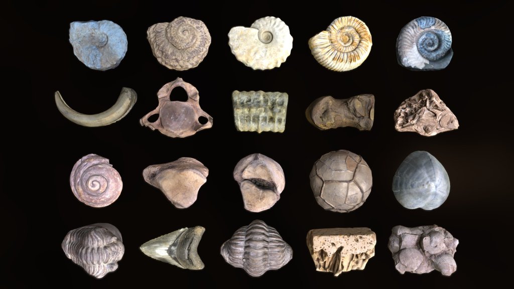 Lowpoly Fossils - 2 - Non Commercial