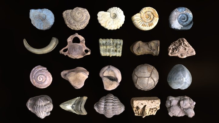 Lowpoly Fossils - 2 - Non Commercial