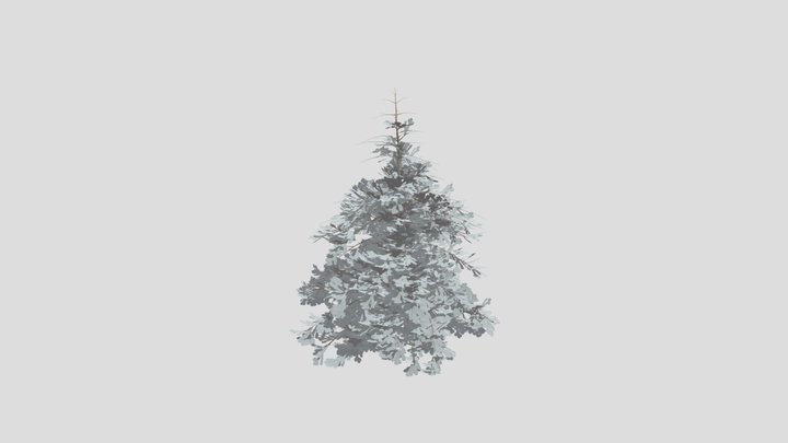 Abies Alba Silver Fir Small Sapling – Free 3D Model STL
