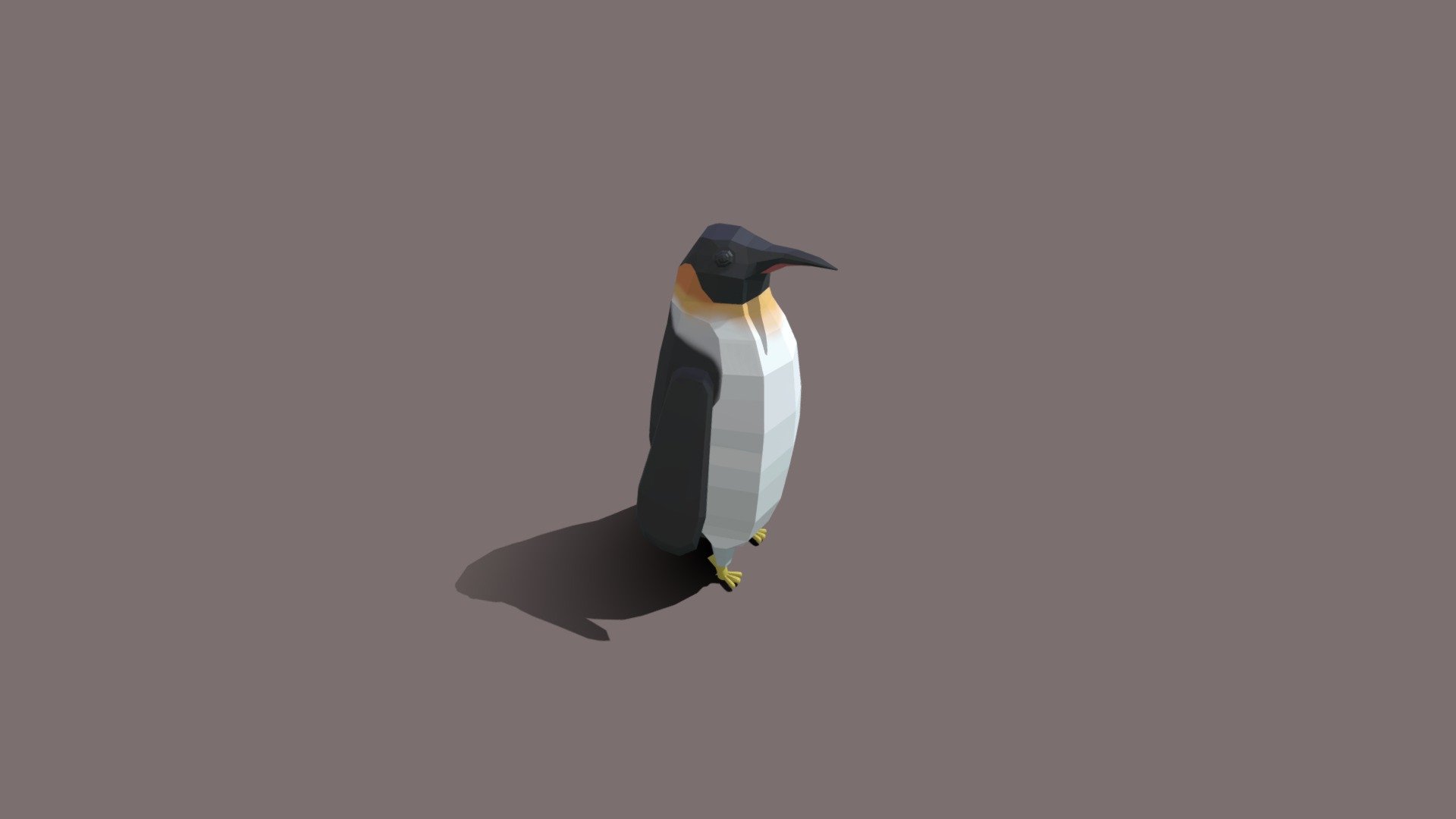 Emperor Penguin Looking Around