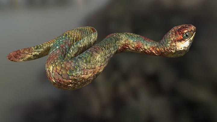 GART DR SNAKE 01 TEXTURED 3D Model