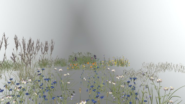 grass 3D Model