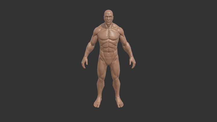 Body Low 3D Model