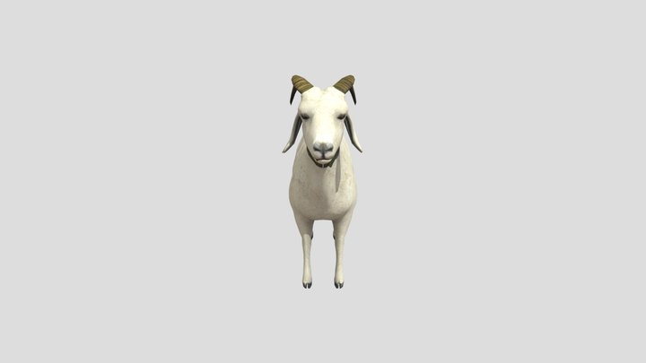 Goat (Gmod Port) 3D Model
